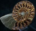 Split Ammonite Half - Deep Crystal Pockets #7570-2